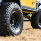 Steel Wheel | Black | 17x9 | 8x170 | 5.10 Bore | -12
