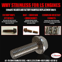 CAE LS Series Exhaust Header Manifold Bolt Kit, 12 Piece Stainless Steel for 4.8L, 5.3L, 5.7L, 6.0L, 6.2L Engines
