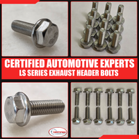CAE LS Series Exhaust Header Manifold Bolt Kit, 12 Piece Stainless Steel for 4.8L, 5.3L, 5.7L, 6.0L, 6.2L Engines