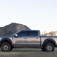 Pocket Fender Flares | YZ Oxford White | Ford F-150 2WD/4WD (2021-2024)