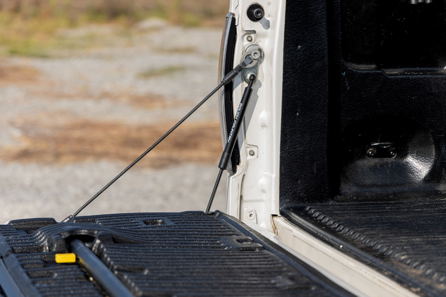 Tailgate Assist | Ford F-150 2WD/4WD (2004-2014)