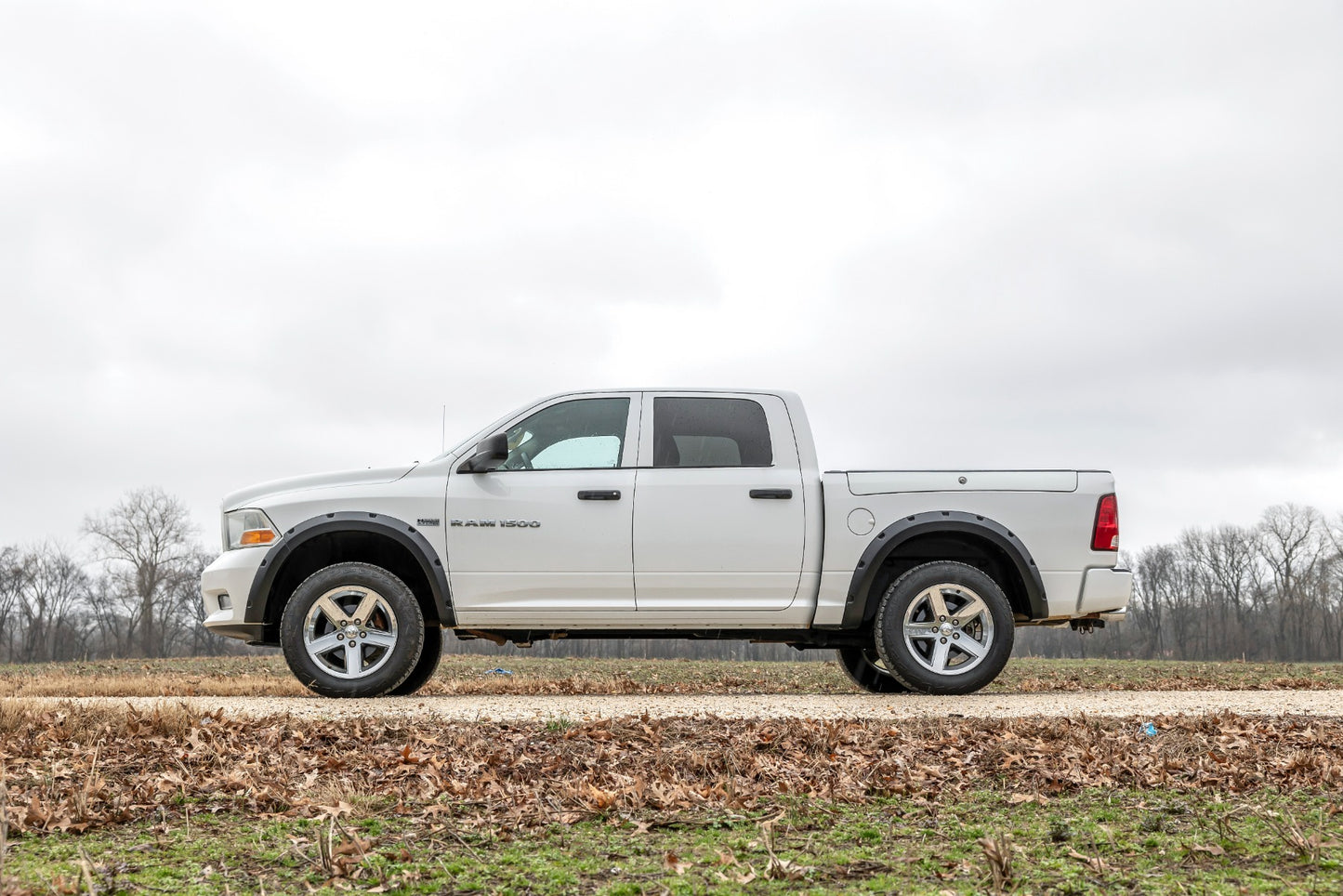 Pocket Fender Flares | PS2 Bright Silver Metallic | Ram 1500 2WD/4WD