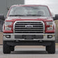 N3 Leveling Struts | 2 Inch | Loaded Strut | Ford F-150 4WD (2014-2024)