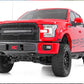 Mesh Grille | 30" Dual Row LED | Black Ser | Ford F-150 2WD/4WD (2015-2017)