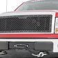 Mesh Grille | Ford F-150 2WD/4WD (2009-2014)